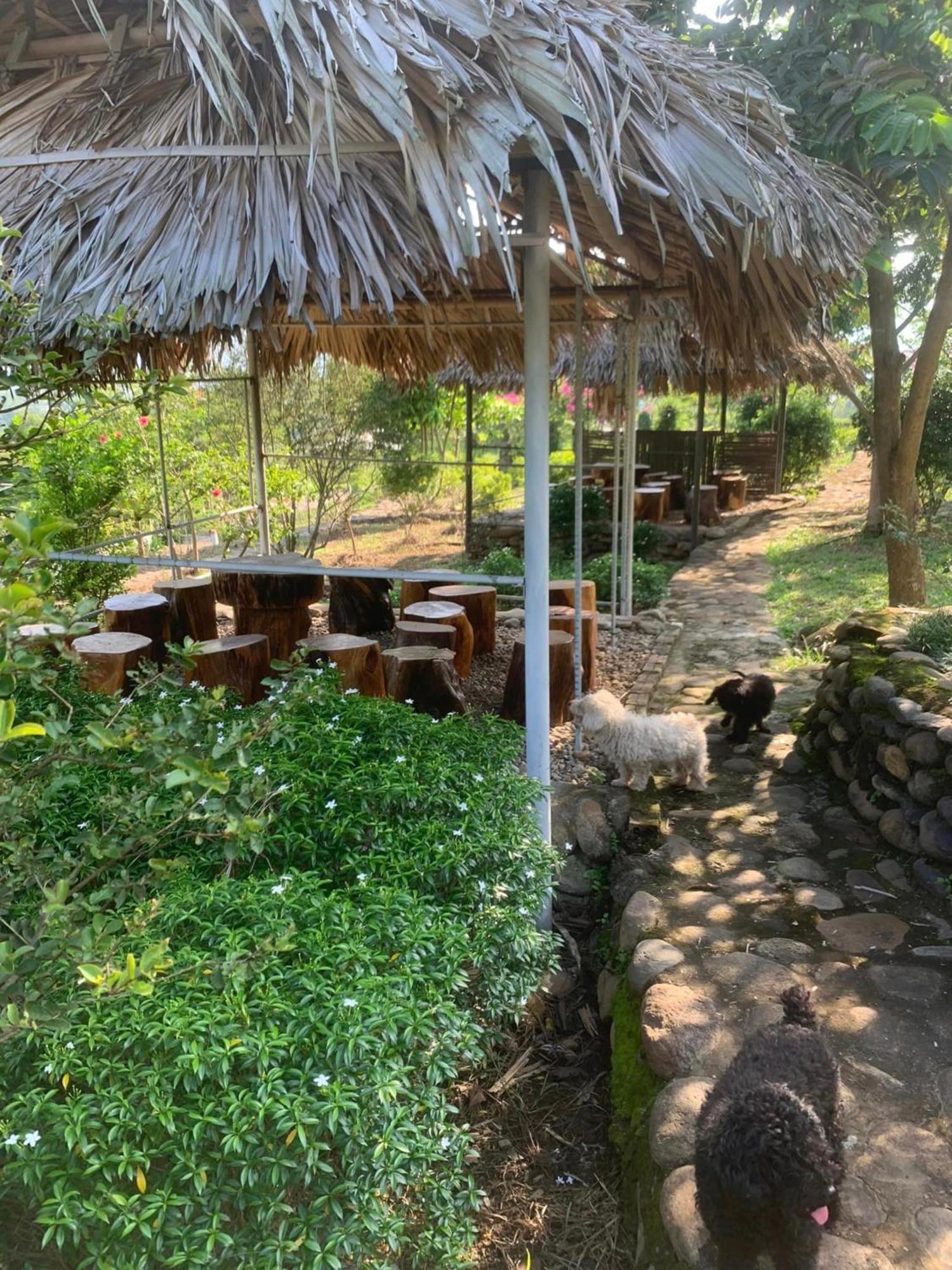 Homestay Nha Cua Mi - Mi'S House Yen Bai Ngoại thất bức ảnh