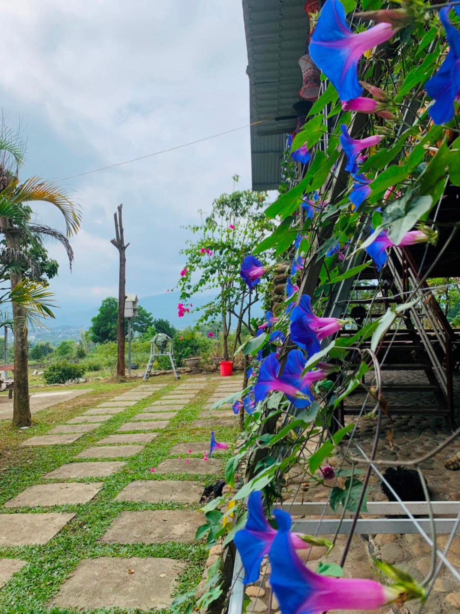 Homestay Nha Cua Mi - Mi'S House Yen Bai Ngoại thất bức ảnh